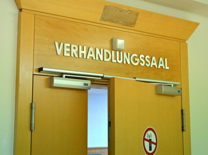 Die rabiate Wiener Hundebesitzerin wurde verurteilt.