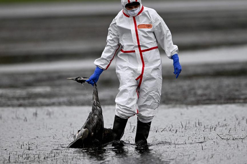 ©AFP