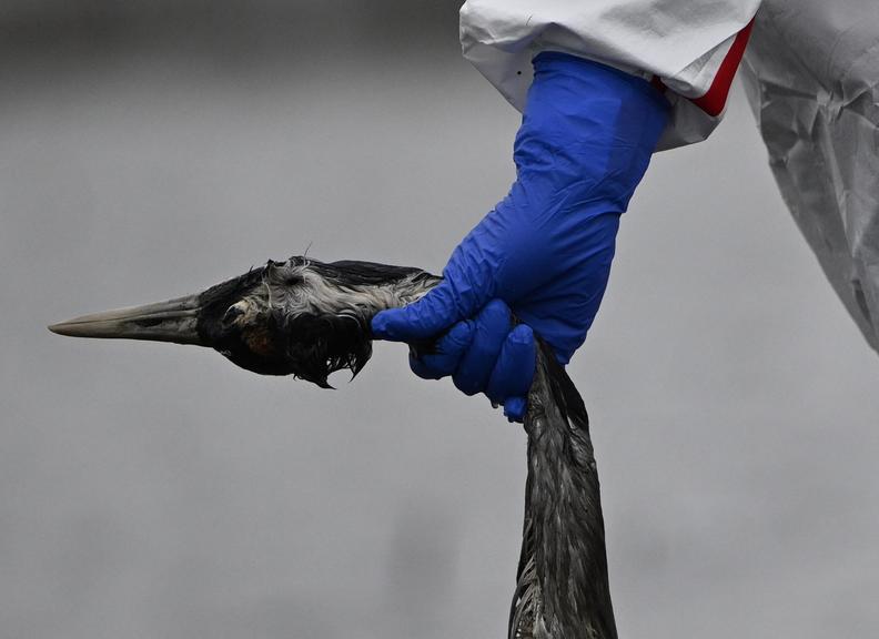 ©AFP