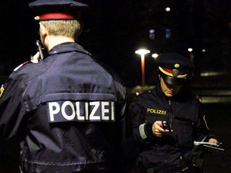 Der 35-Jährige versuchte auch die Wiener Polizisten zu attackieren.
