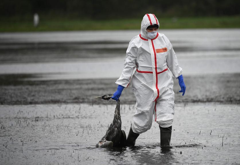 ©AFP
