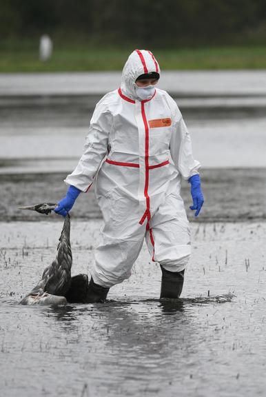 ©AFP