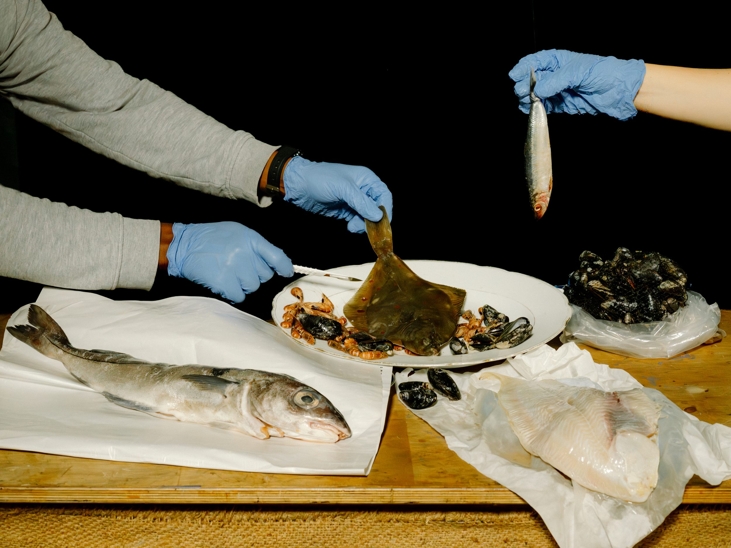 Viele der in den Fischen nachgewiesenen Stoffe seien in der EU längst verboten.