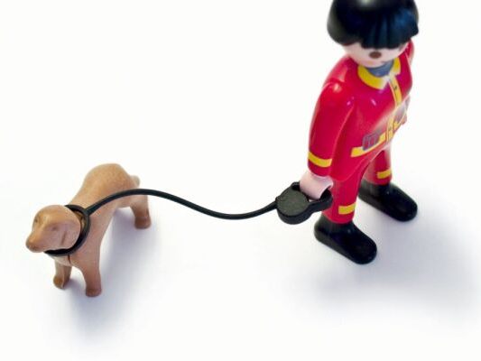 Die Spielzeug-Hundeleine aus Silikon fertigt starlim und sterner