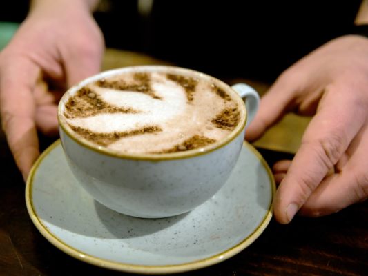 Der Hanfverband gibt sich nicht geschlagen