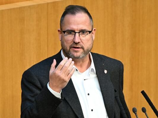Generalsekretär Christian Hafenecker will "messbar" günstigeren Strom