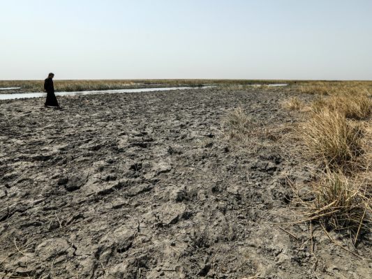 Anhaltende Dürre in der Provinz Dhi Qar im Süden des Landes