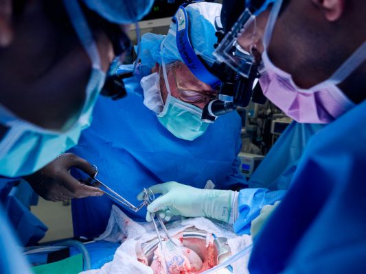 Anzahl der Transplantationen stieg in 33 Jahren von 1,59 auf 4,59 Millionen