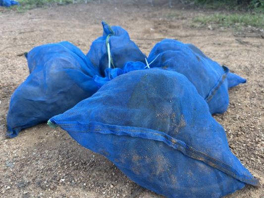 Die Tiere sollten in blaue Säcke verpackt außer Landes gebracht werden