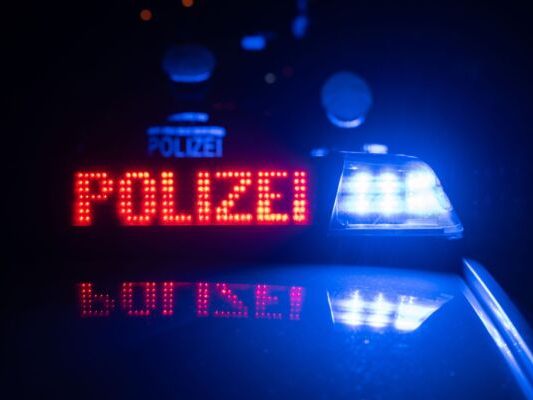 Schwester, die Ehefrau und die Söhne des 63-Jährigen getötet