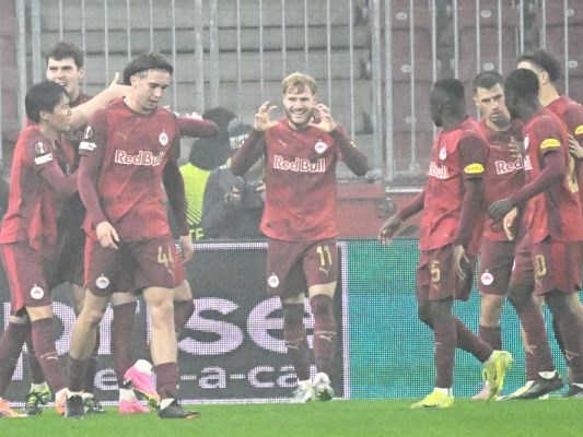 Vertessen (m.) brach in Wals-Siezenheim die Torsperre