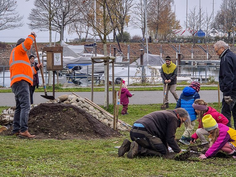 Neugestaltung einer Grünfläche in eine Blumenwiese