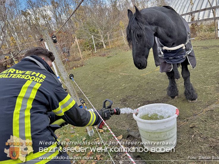 Ein technischer Defekt legte die Wasserversorgung eines Reitstalls bei Baden lahm.