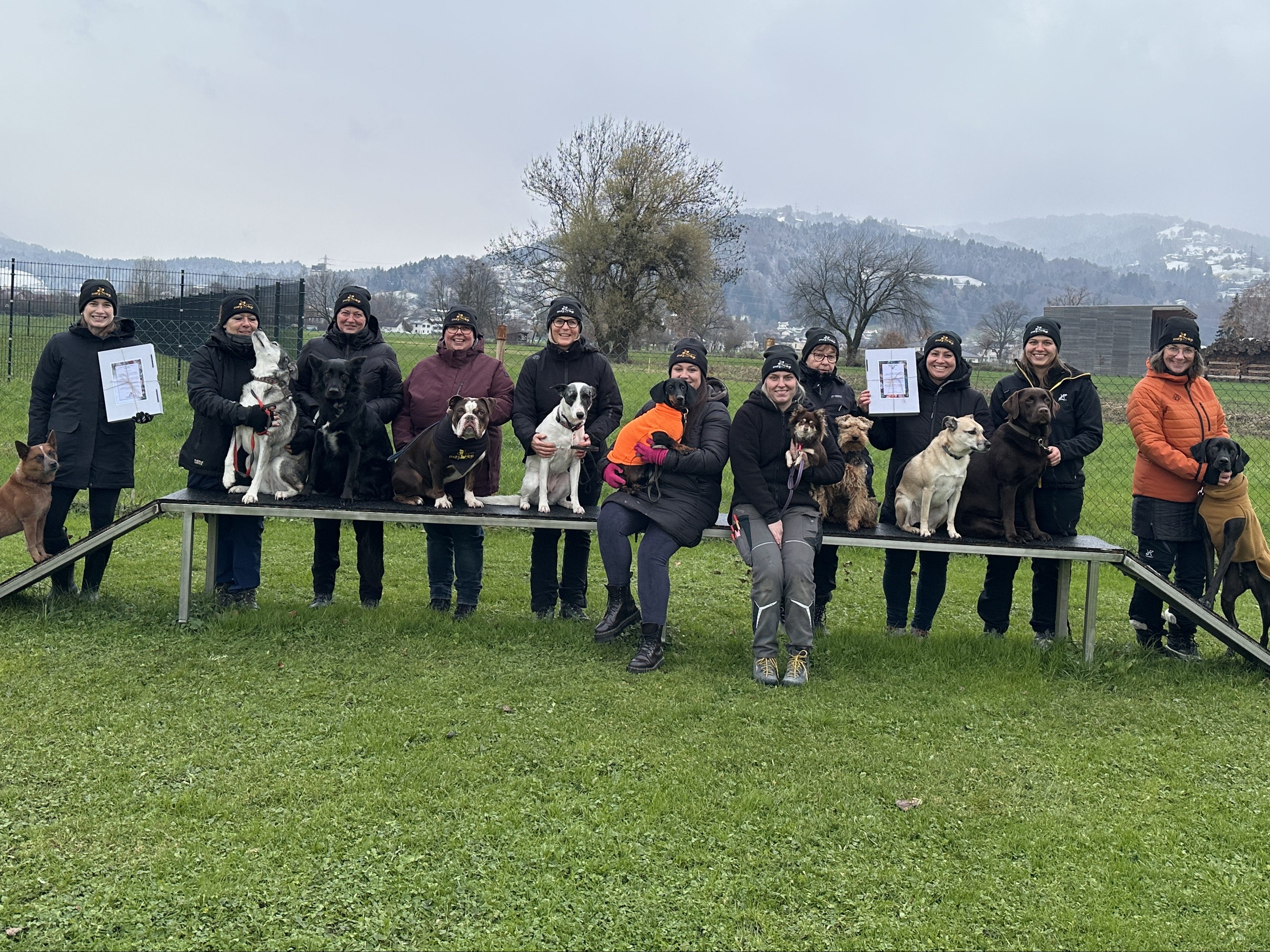 Die "Crazydogs" haben zwei Adventskalender zusammengestellt.