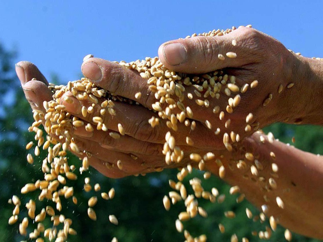 Die Regierung nickt ein Gesetz für die Lebensmittel-Versorgungssicherheit ab.