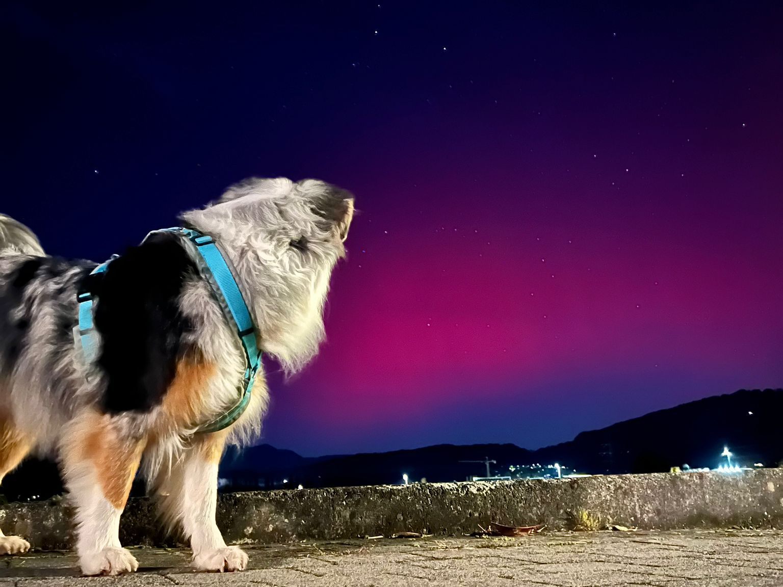 Polarlichter über dem Walgau (Blick von Nenzing in Richtung Rheintal).