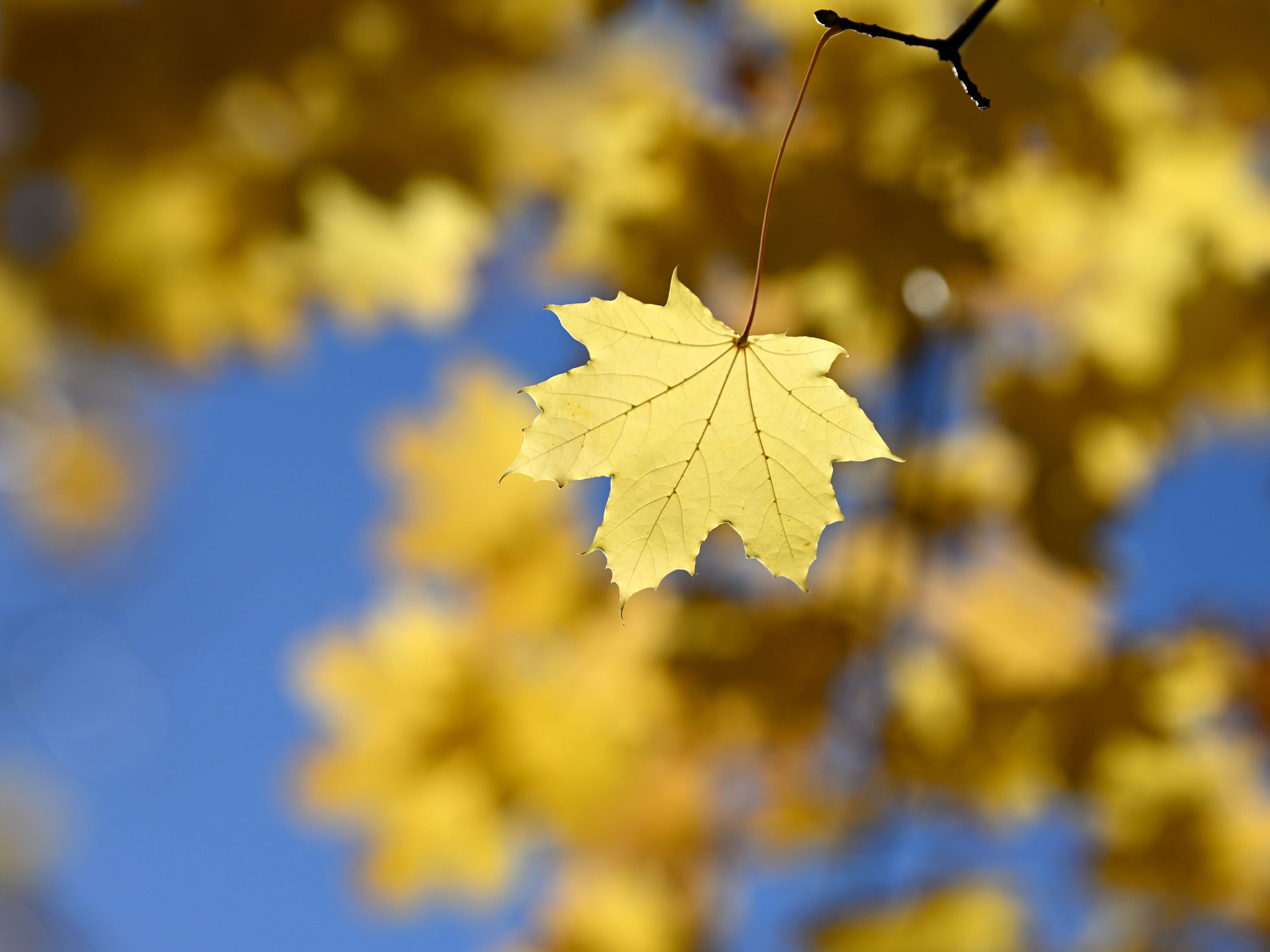 Nächste Tage mit Sonne, Wolken und Regen.