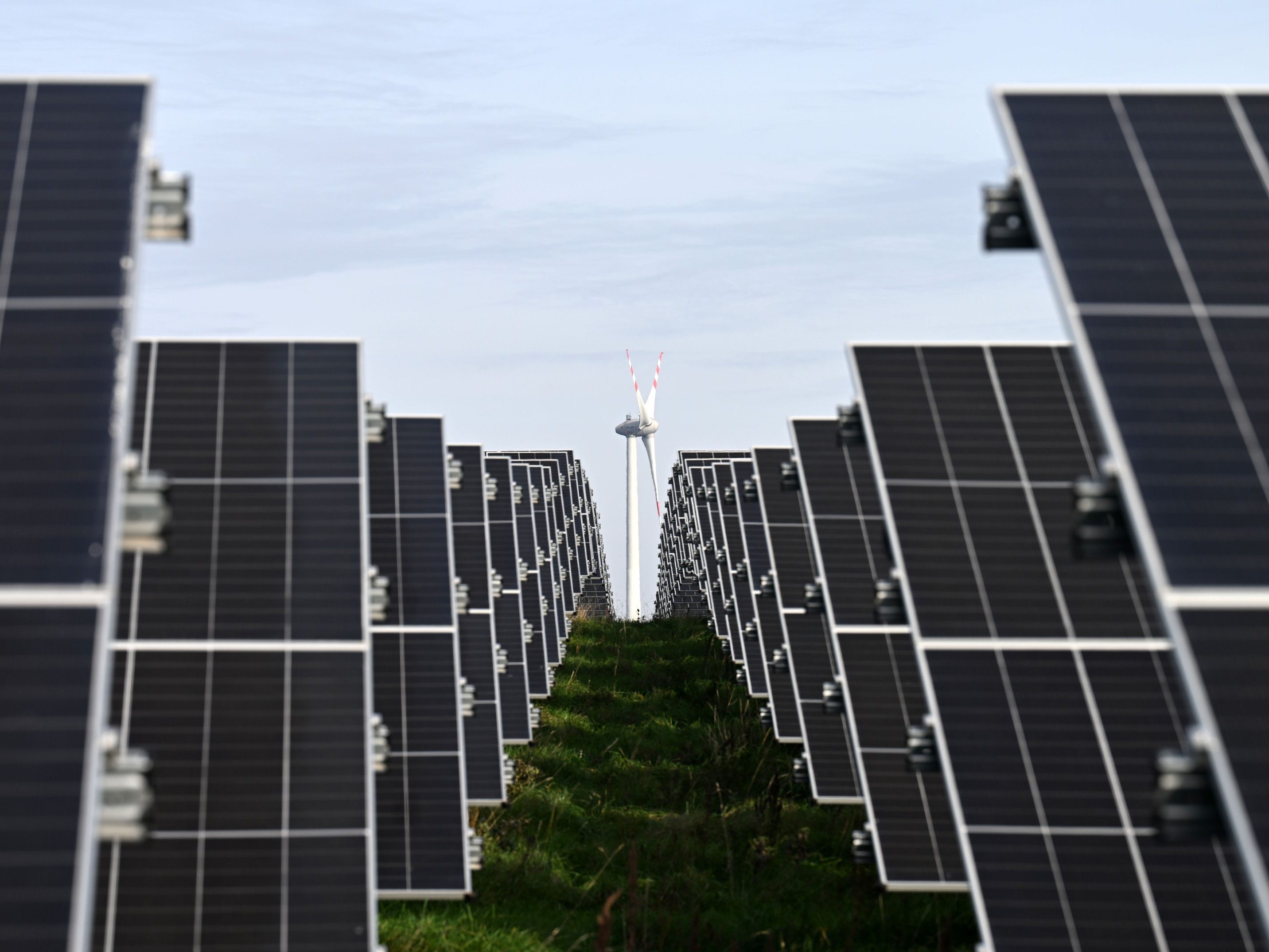 Der Photovoltaik-Zubau bleibt trotz gekürzter Förderung hoch.