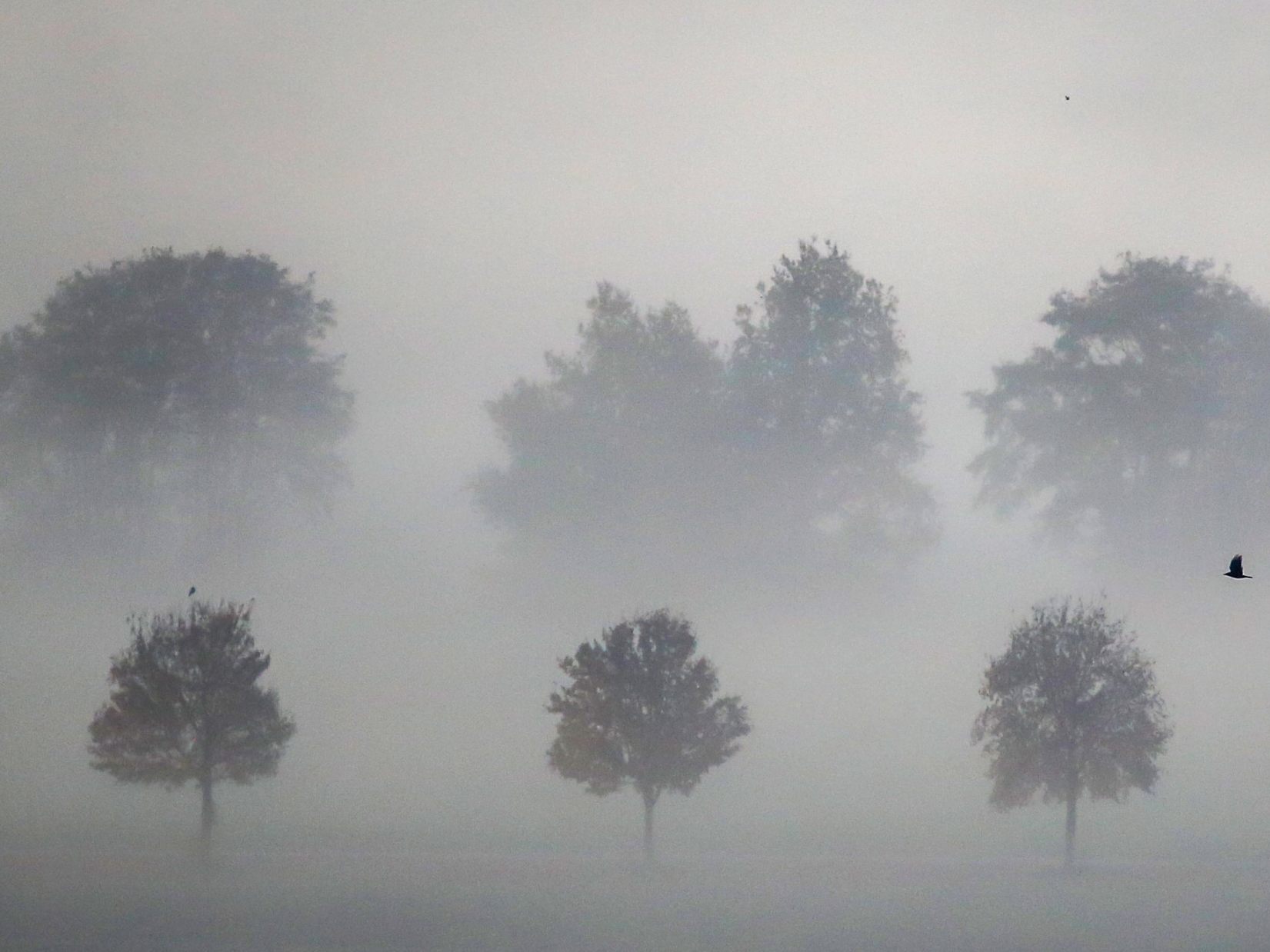 Nebelsuppe statt Winterzauber im Flachland.