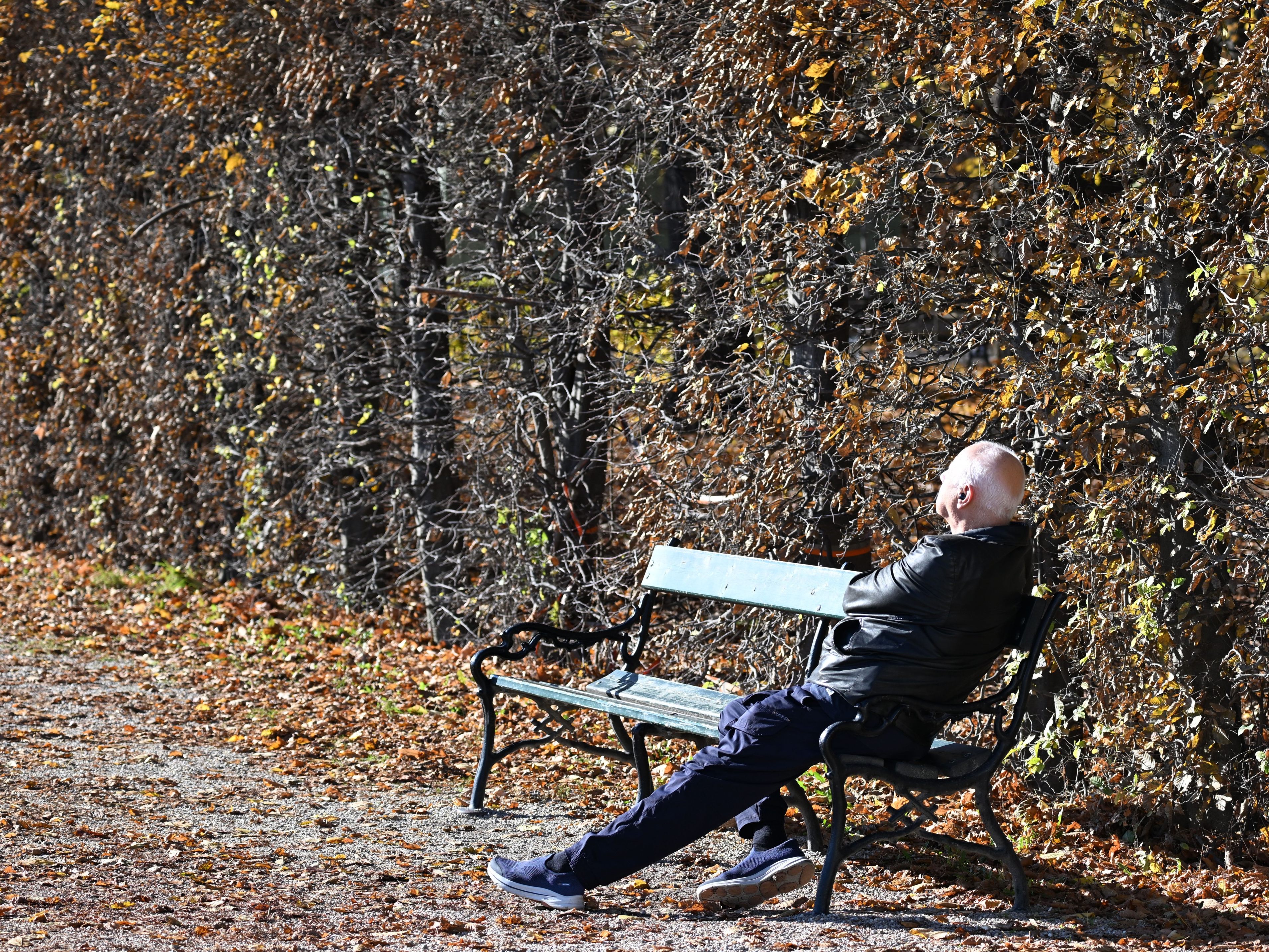 Hochdruckwetter bringt Sonne, Nebel und milde Temperaturen.