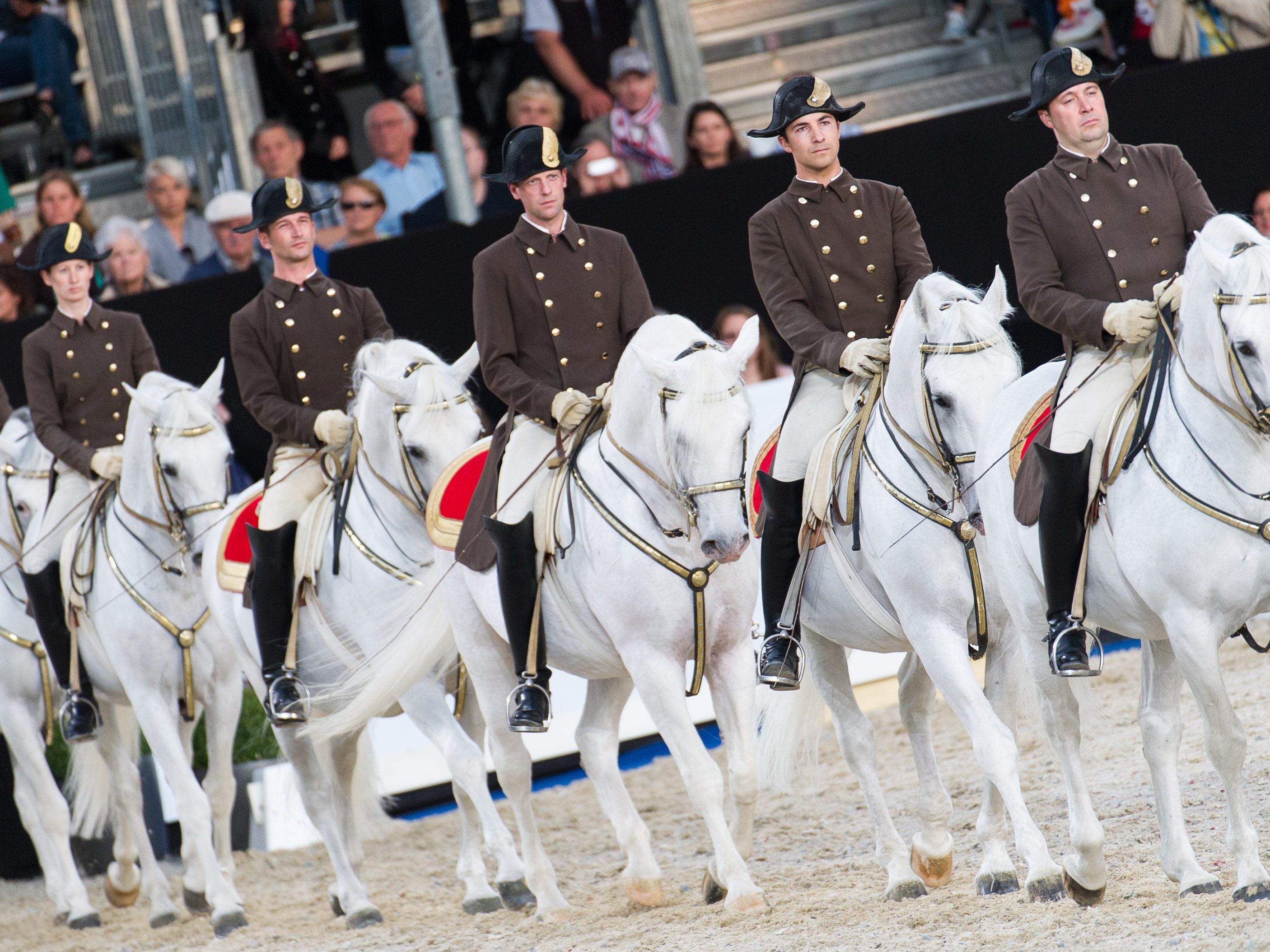 Eine interne Befragung deckt Missstände im Umgang mit Jungtieren auf.