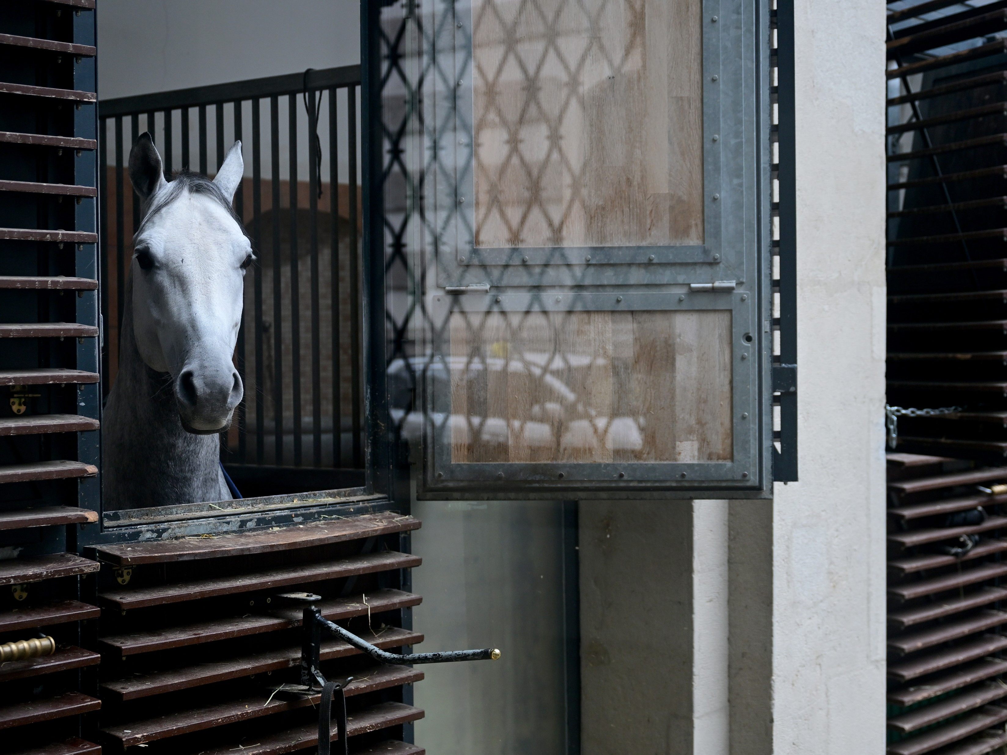 Impression von den Stallungen der Spanischen Hofreitschule.