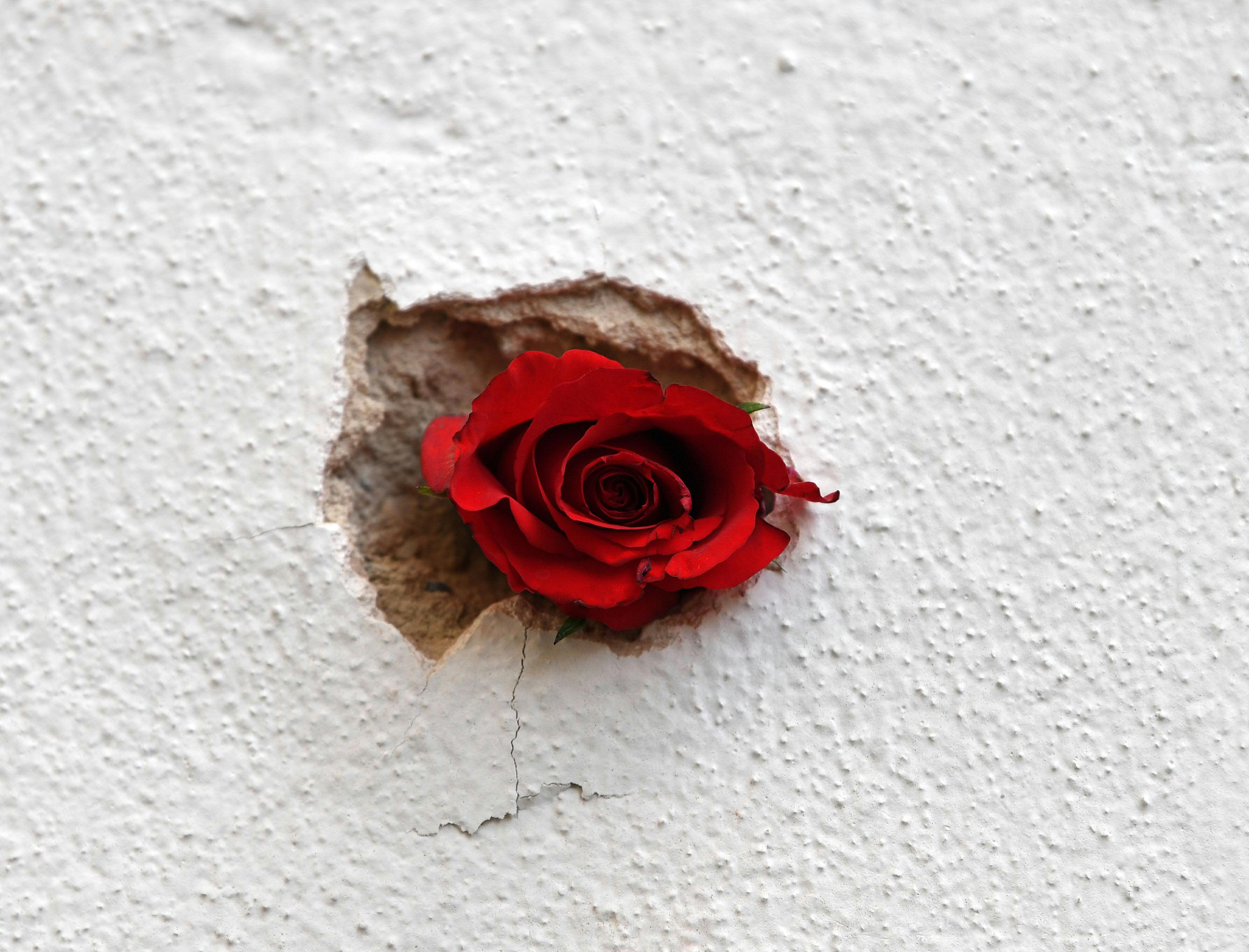 Avstrijska politika se spominja žrtev terorističnega napada na Dunaju