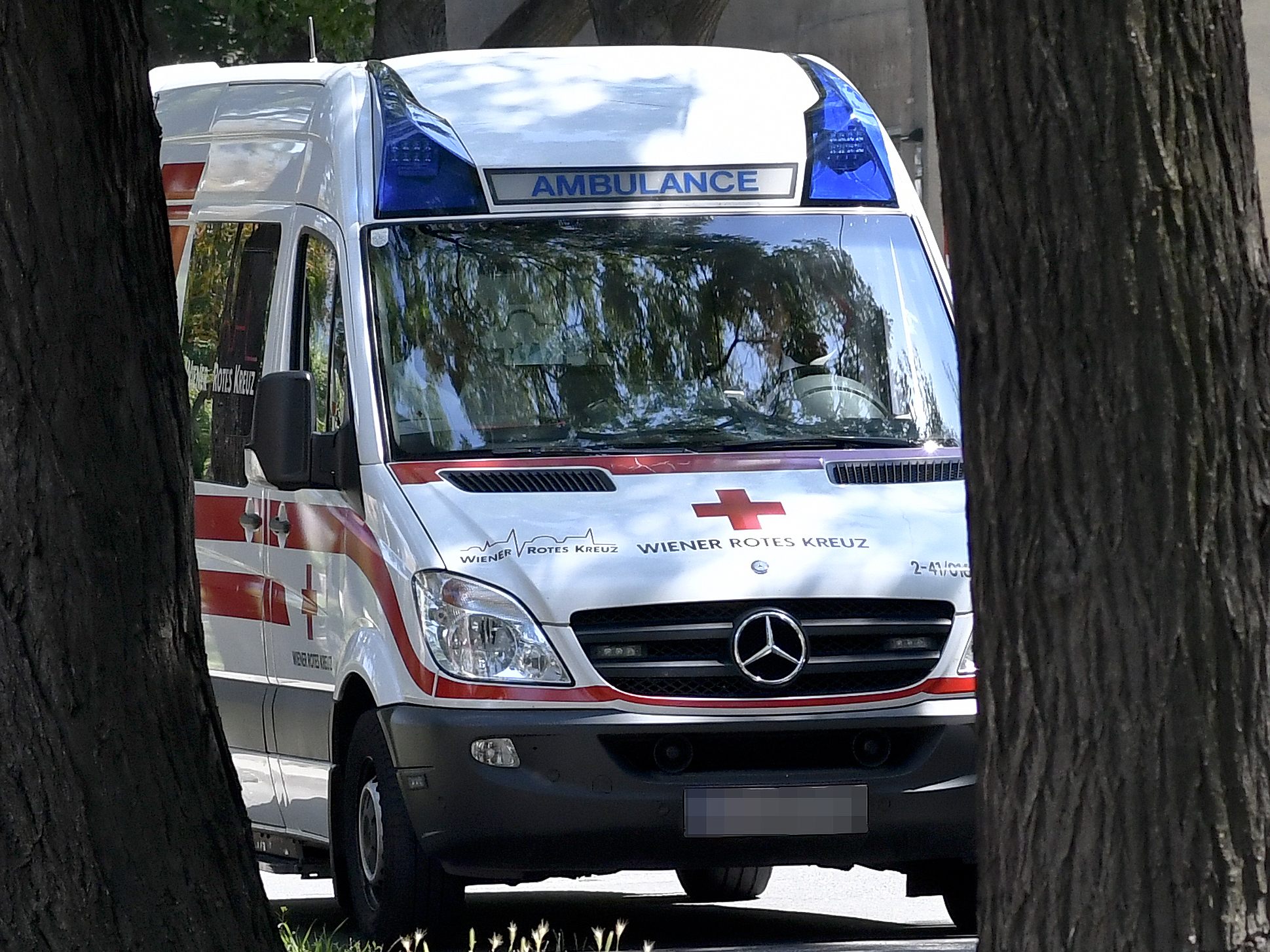 Die Rettung brachte das Mädchen ins Krankenhaus.