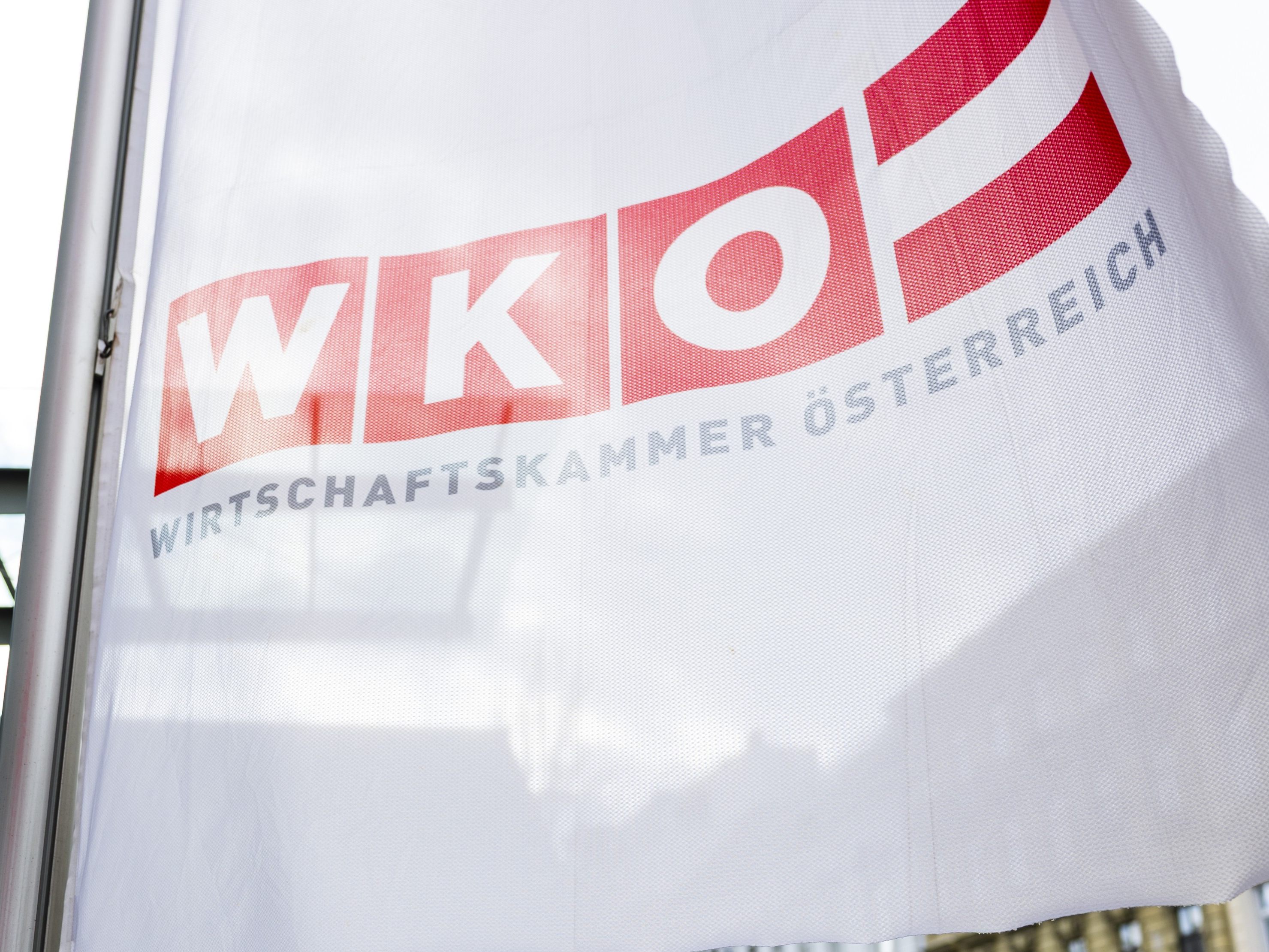 Die Grüne Wirtschaft fordert einen Neustart in der WKÖ.