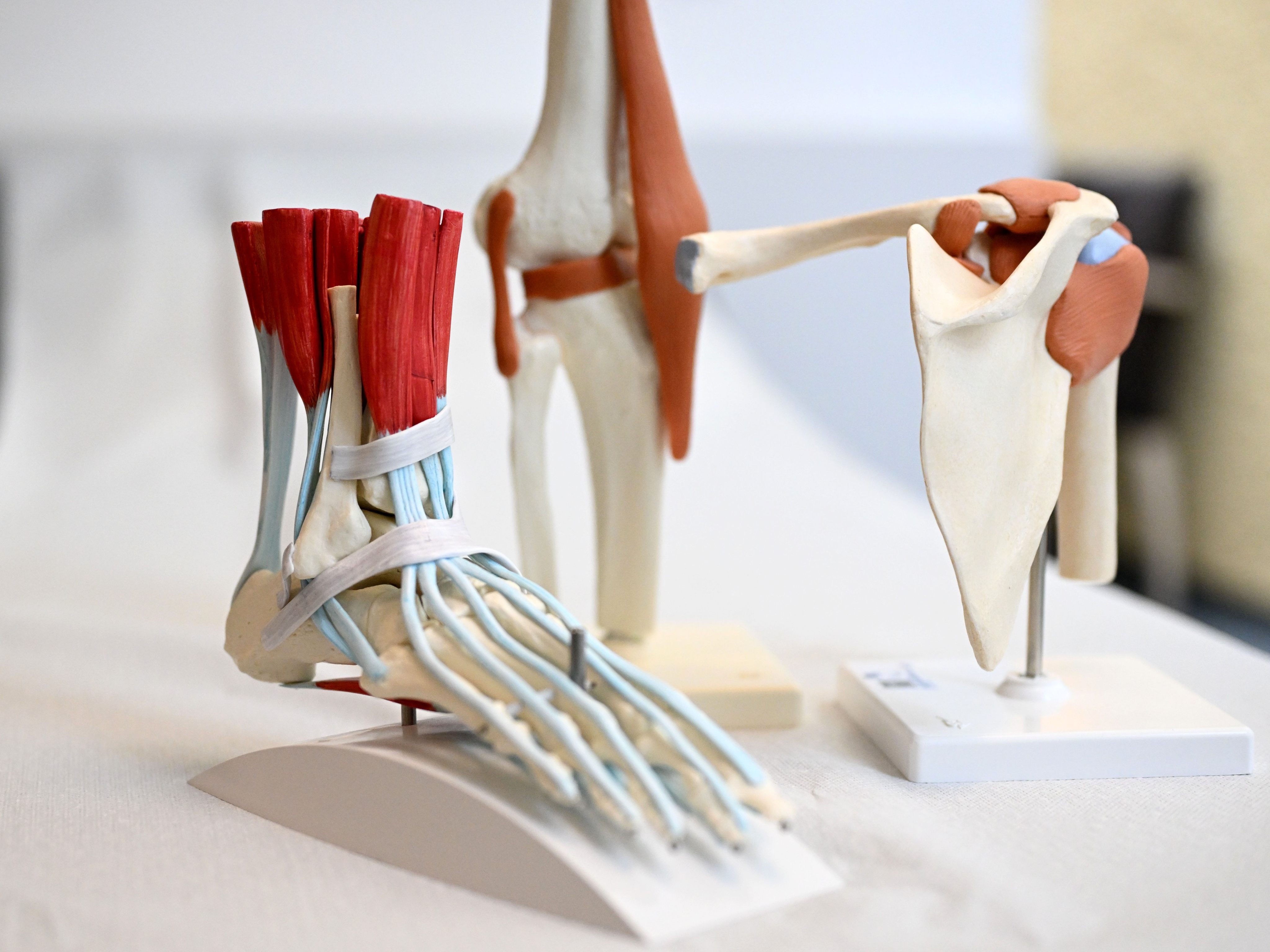 Vinzenz-Gruppe brachte Warnung vor.