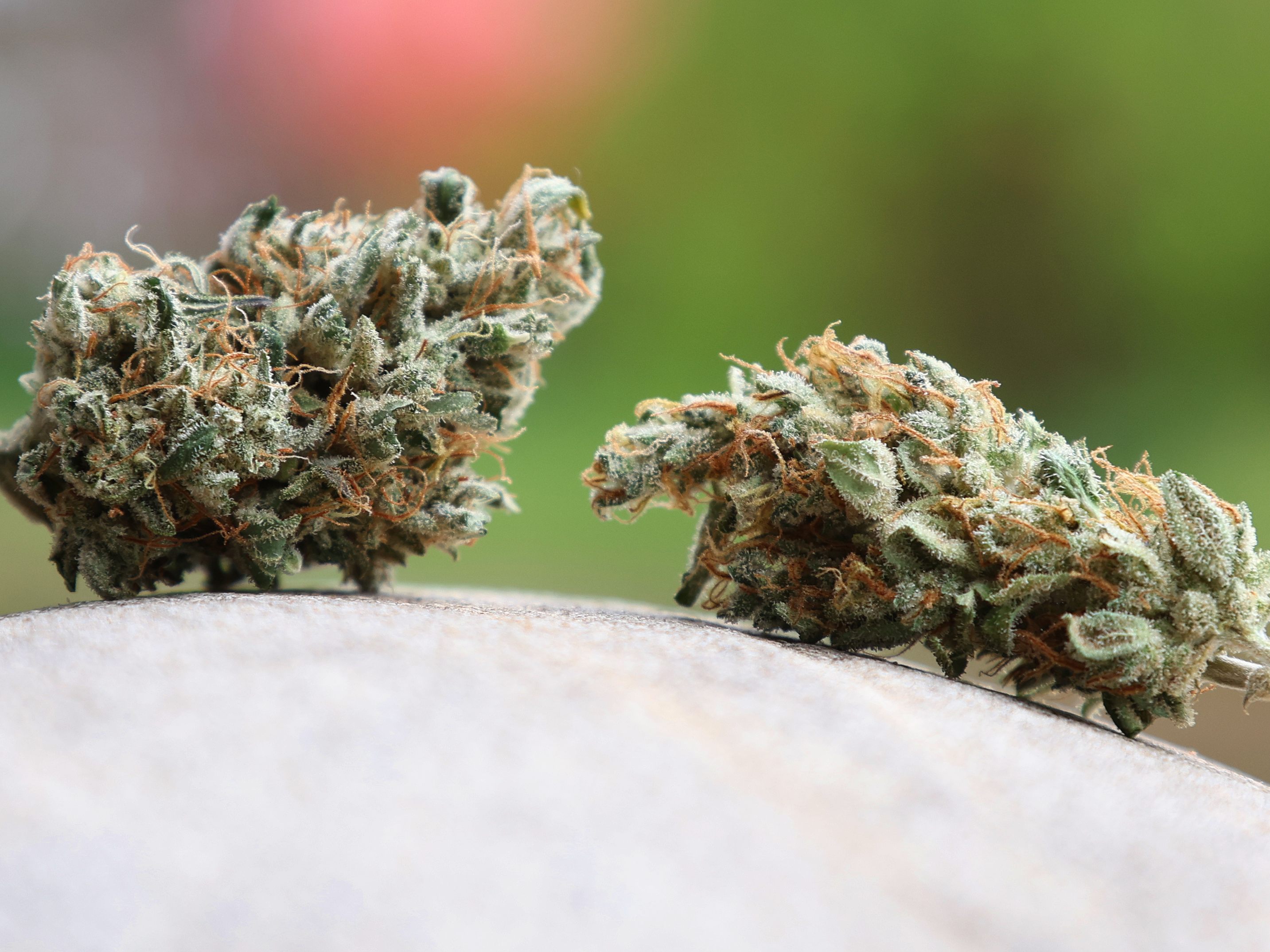 Ein Gesetz soll zum Verkauf von Cannabisblüten Klarheit schaffen.