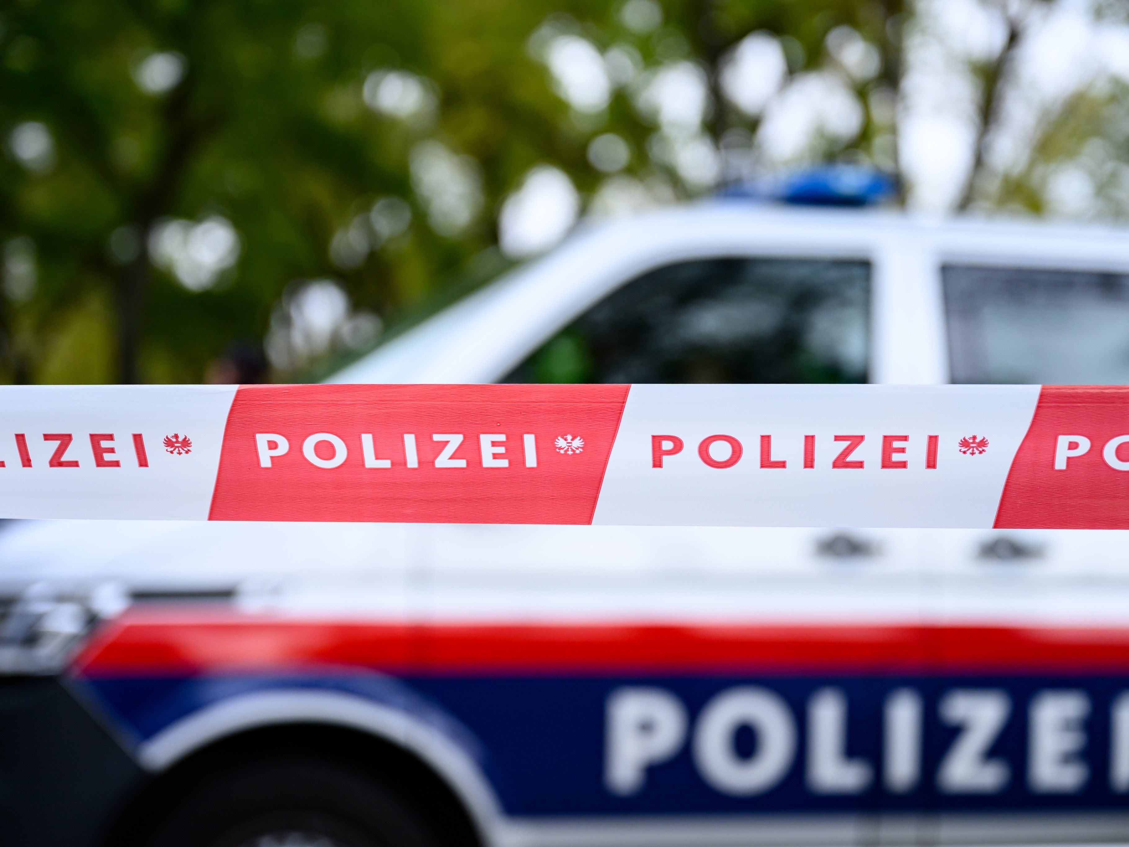 Der Fall geriet ins Rollen, nachdem Forstarbeiter am 18. Dezember 2020 nahe der Westautobahn auf Skelettteile gestoßen waren.