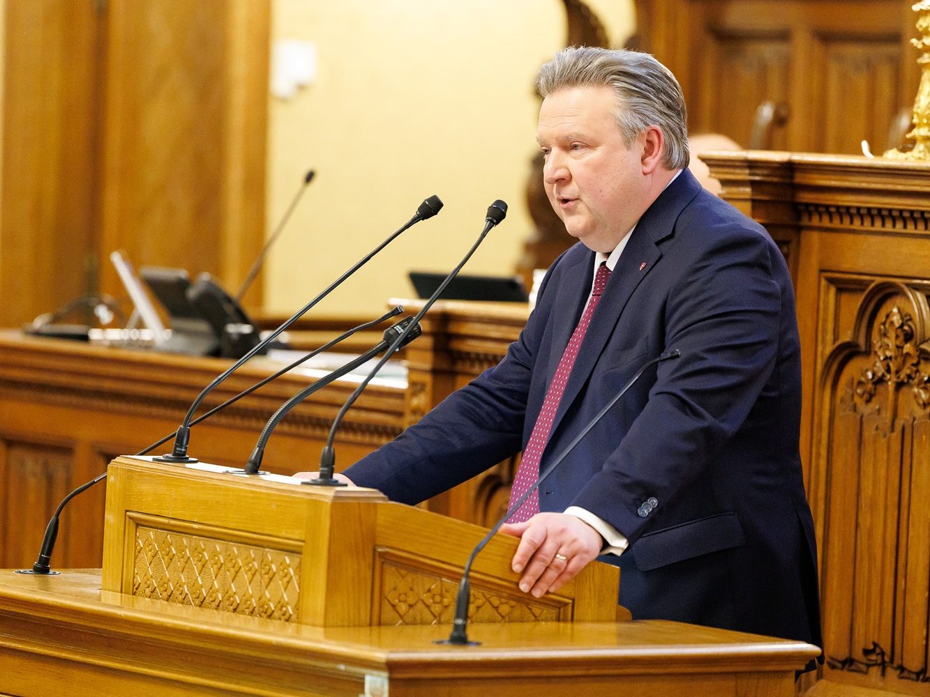 Wiens Landeschef Michael Ludwig.