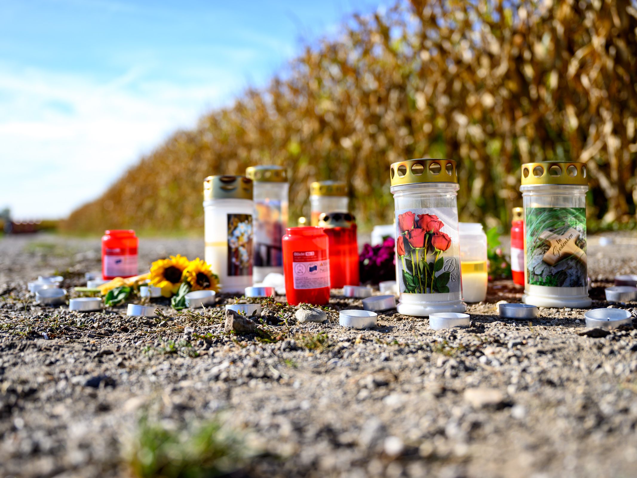 Die Hundeattacke datiert vom Oktober 2023.