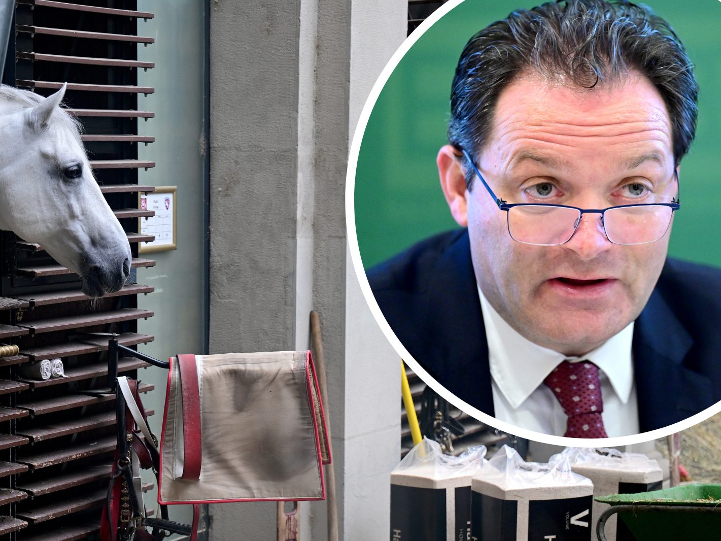 Die Hofreitschule wies die Vorwürfe "entschieden zurück".