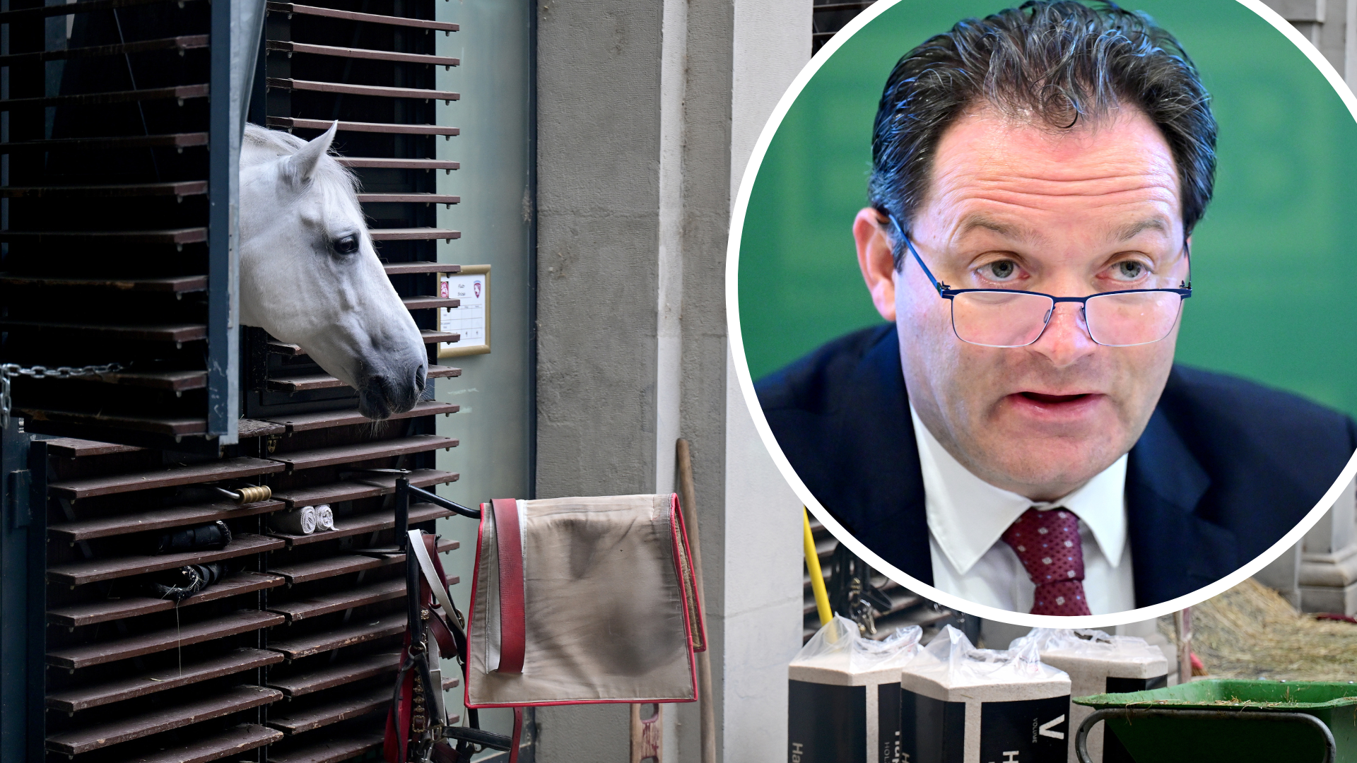 Vorwürfe gegen Wiener Hofreitschule: Totschnig beauftragte Überprüfung