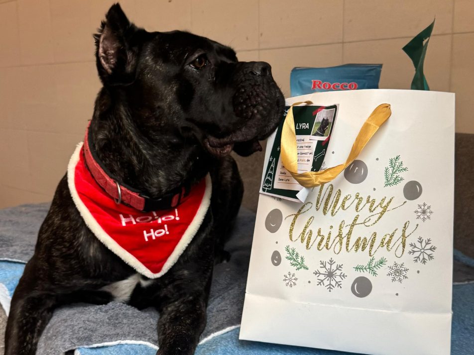 Das TierQuarTier startet seine jährliche Weihnachtswunschaktion.