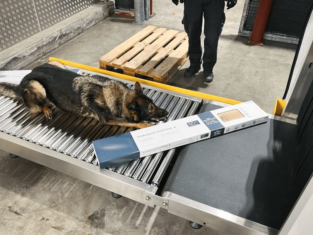 Zürcher Zöllner entdecken 128 Kilogramm Haschisch in Fracht aus den USA.