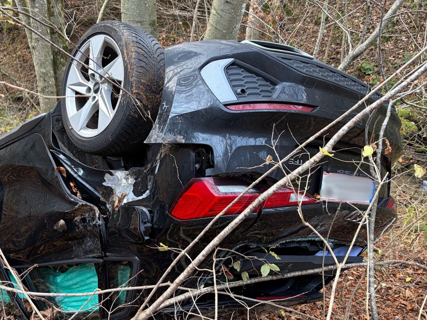 Pkw in Blons abgestürzt