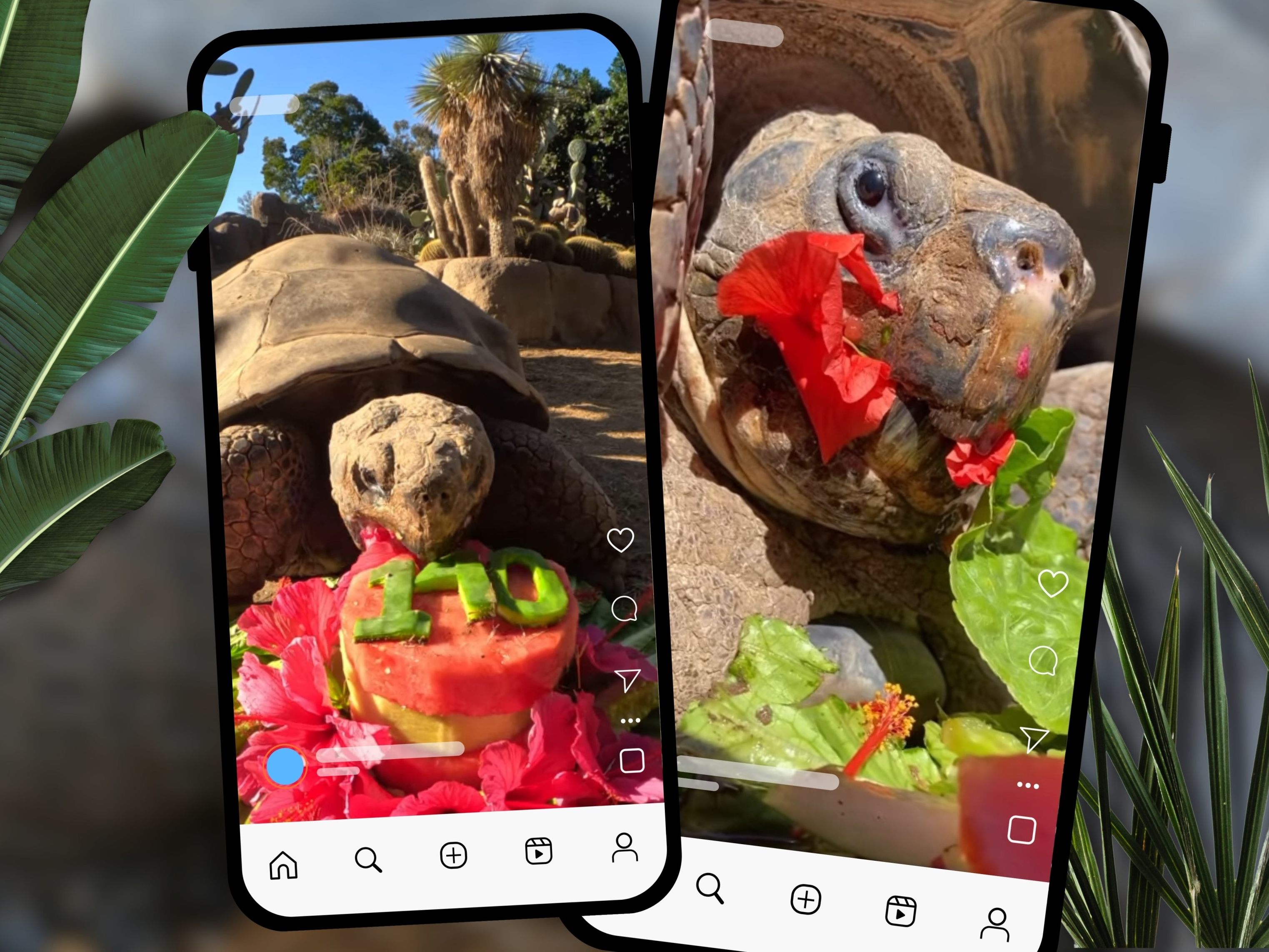 Tierischer Methusalem