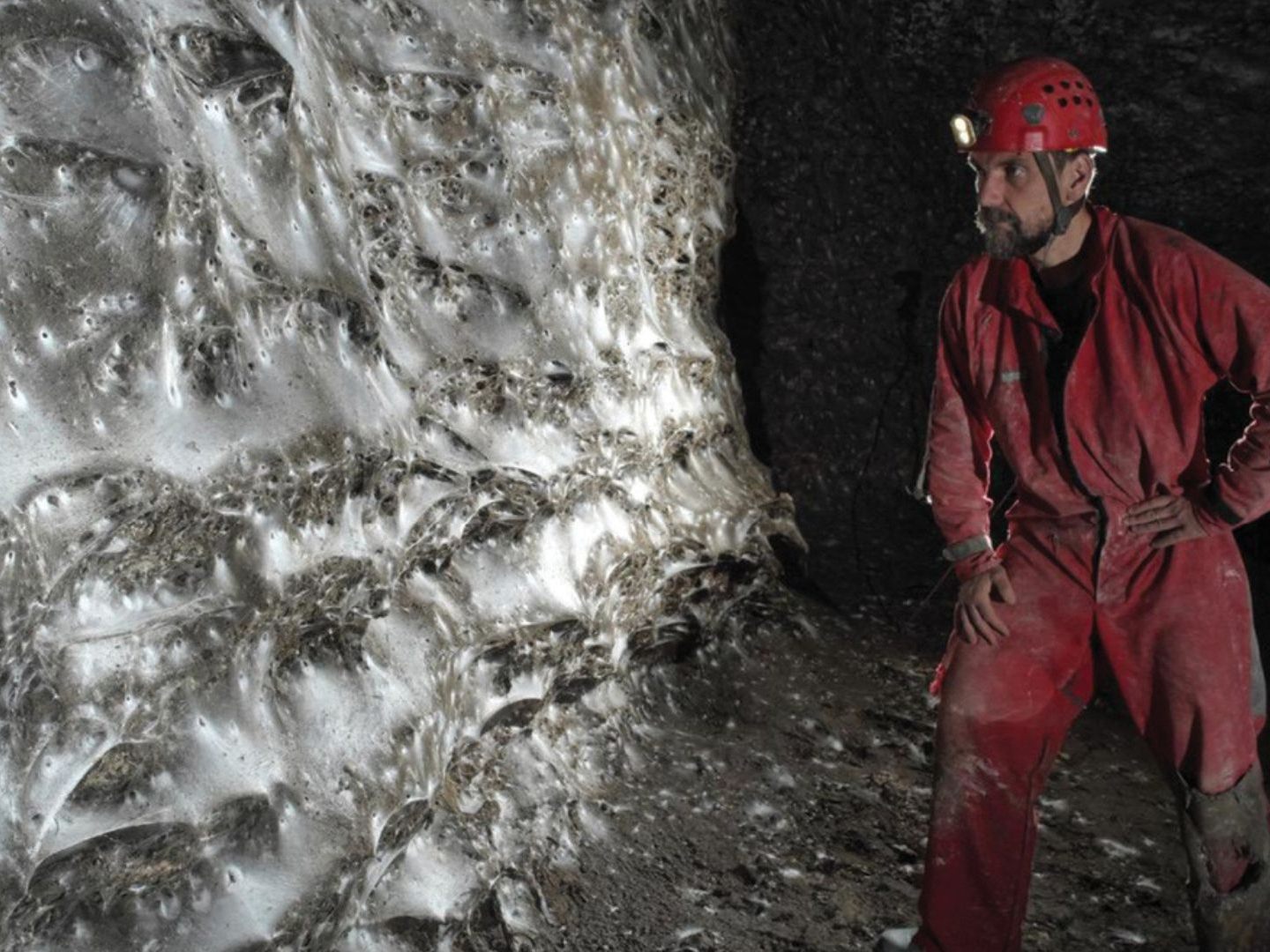 Riesennetz entdeckt: 111.000 Spinnen in einer Höhle