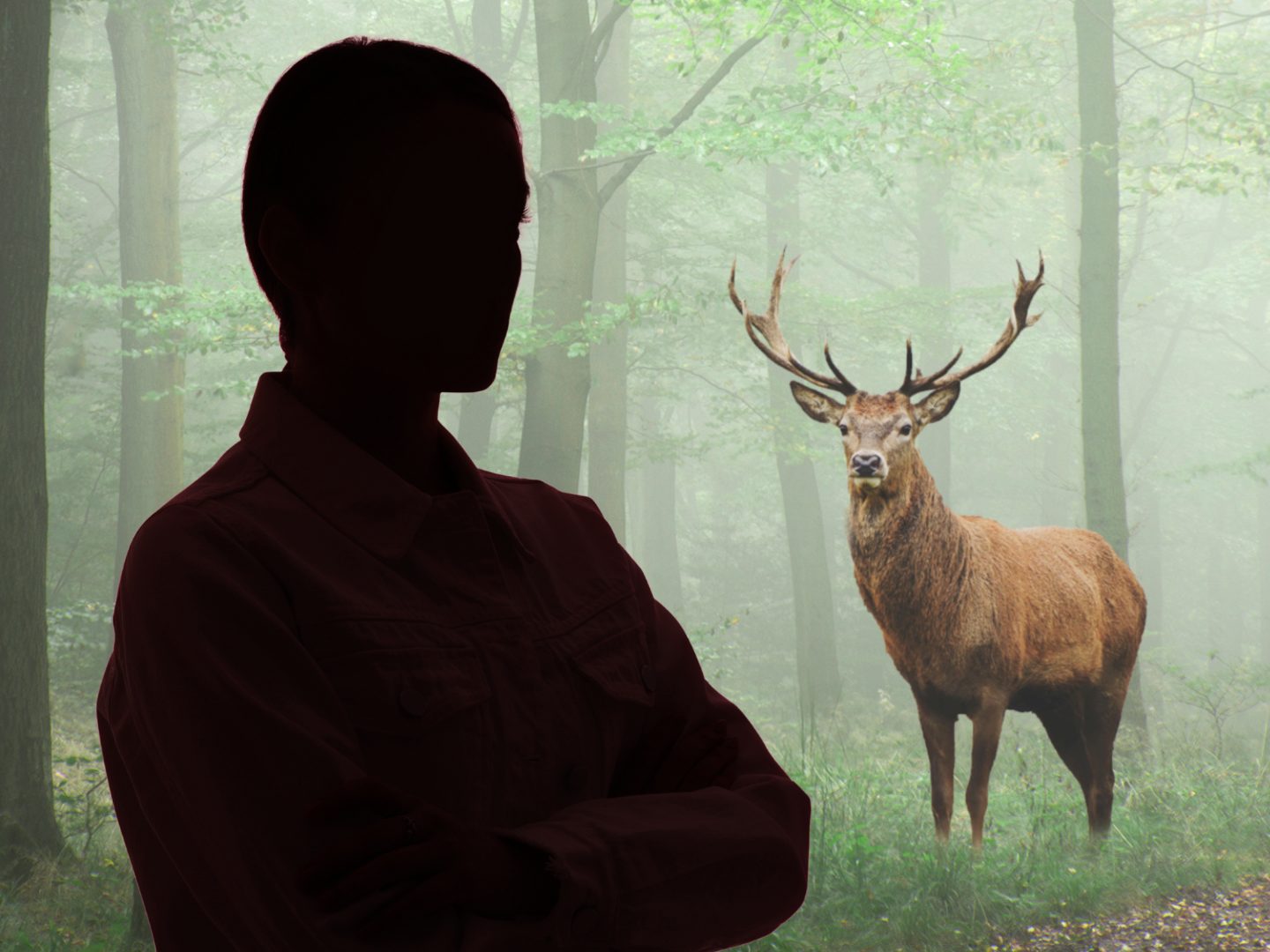 Jodi P. (64) aus Ohio pflegte seit Jahren verwaiste Hirsche.