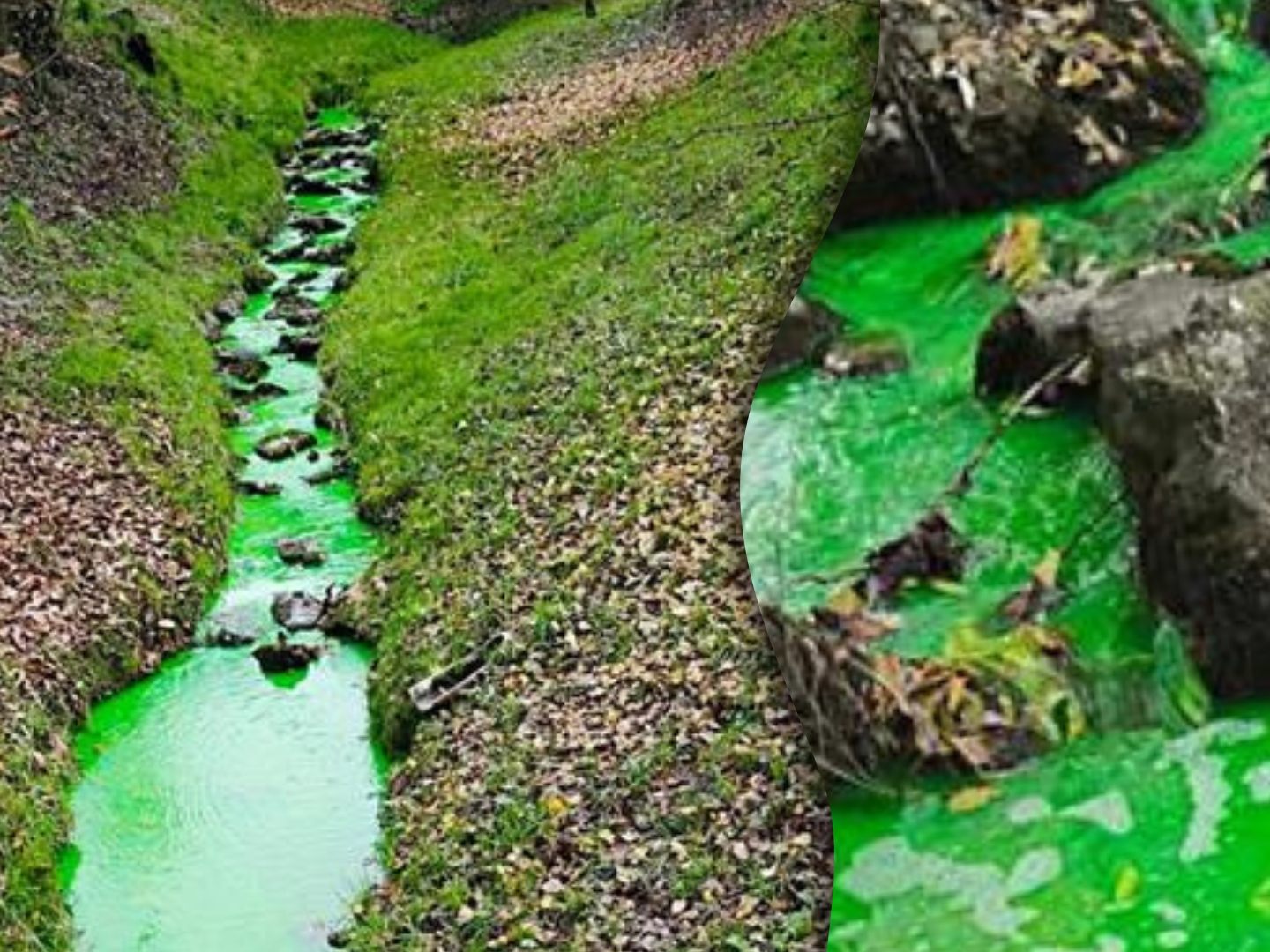 Aufregung am Krebsgraben: Flüssigkeit entdeckt.