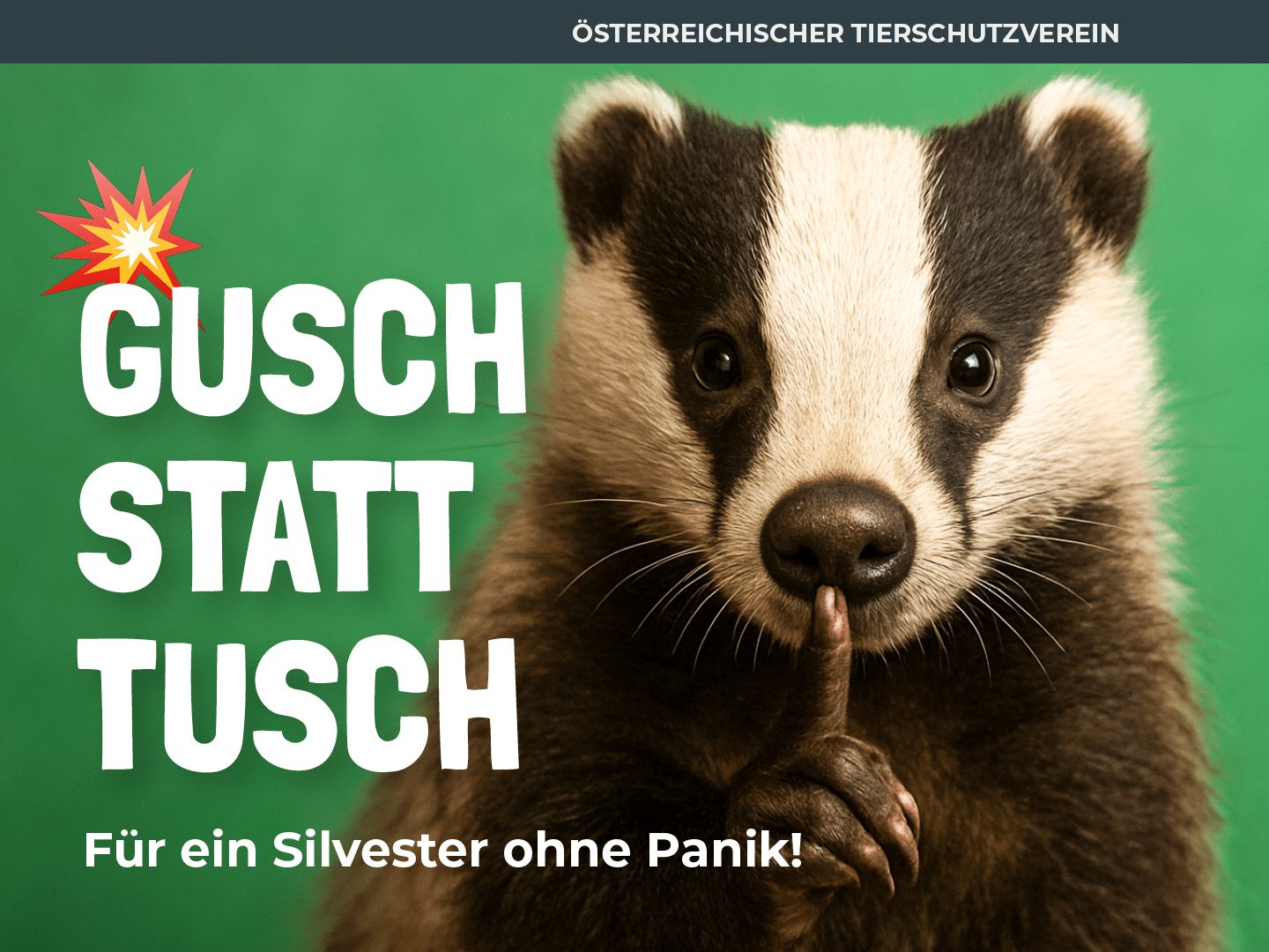Der Österreichische Tierschutzverein wirbt mit Schmäh für ein Silvester ohne Raketen und Böller.