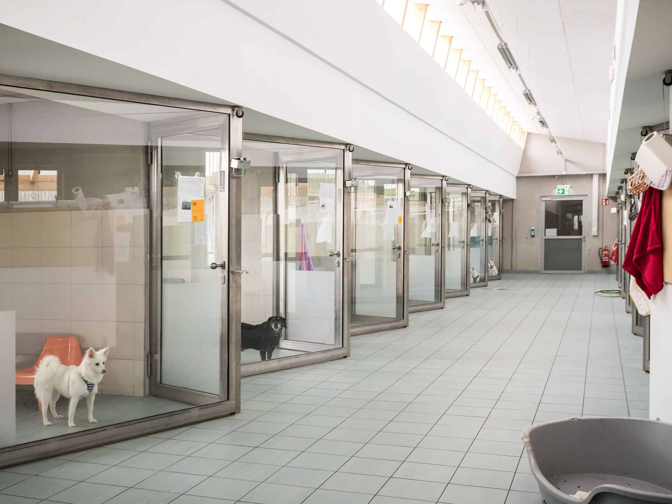 Zur Adventfeier 2025 im TierQuarTier Wien gibt es auch einen exklusiven Einblick in den Tierbereich.