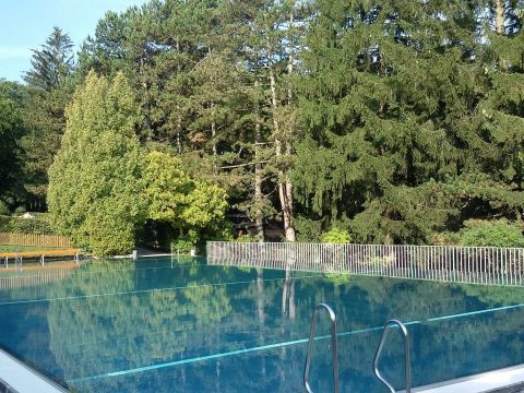 Das Neuwaldegger Bad in Wien-Hernals hatte in der vergangenen Saison erstmals nicht geöffnet.