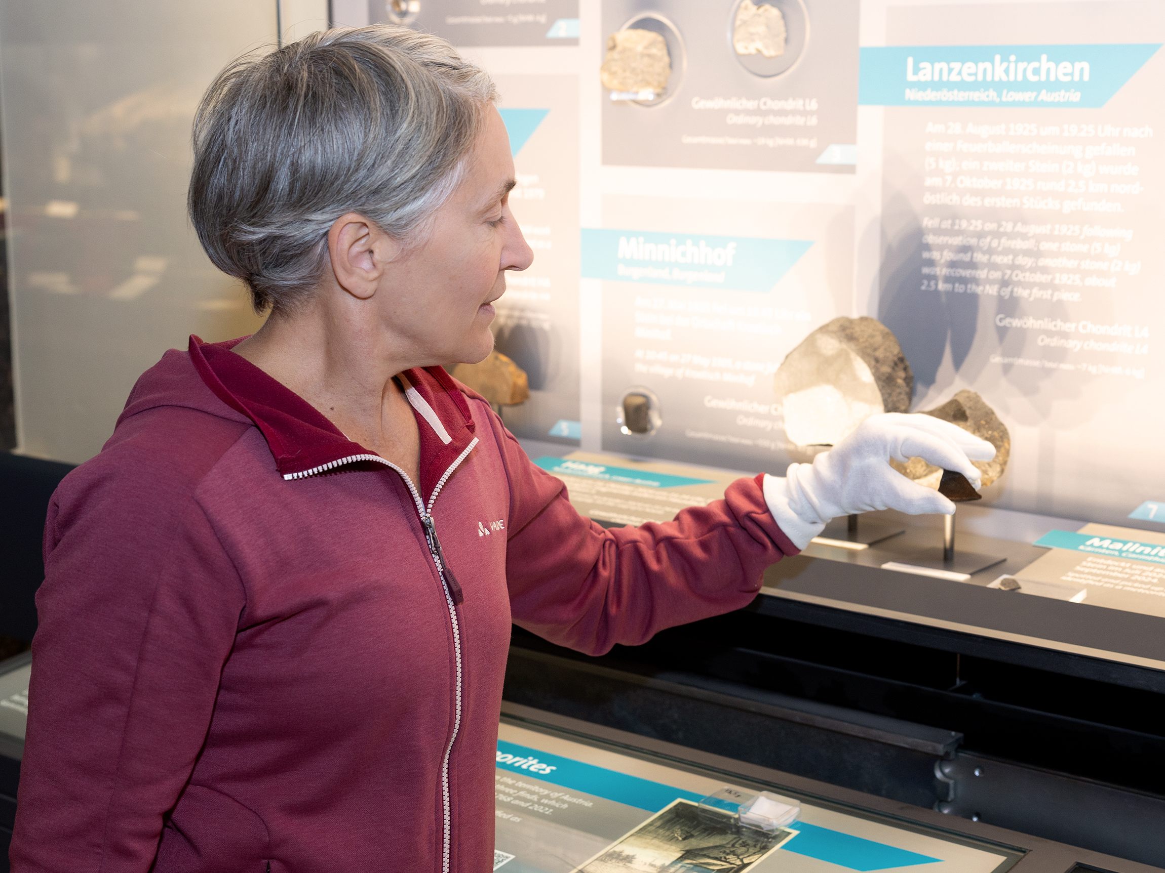 Dr. Andrea Patzer, Kuratorin der Meteoritensammlung des NHM Wien.