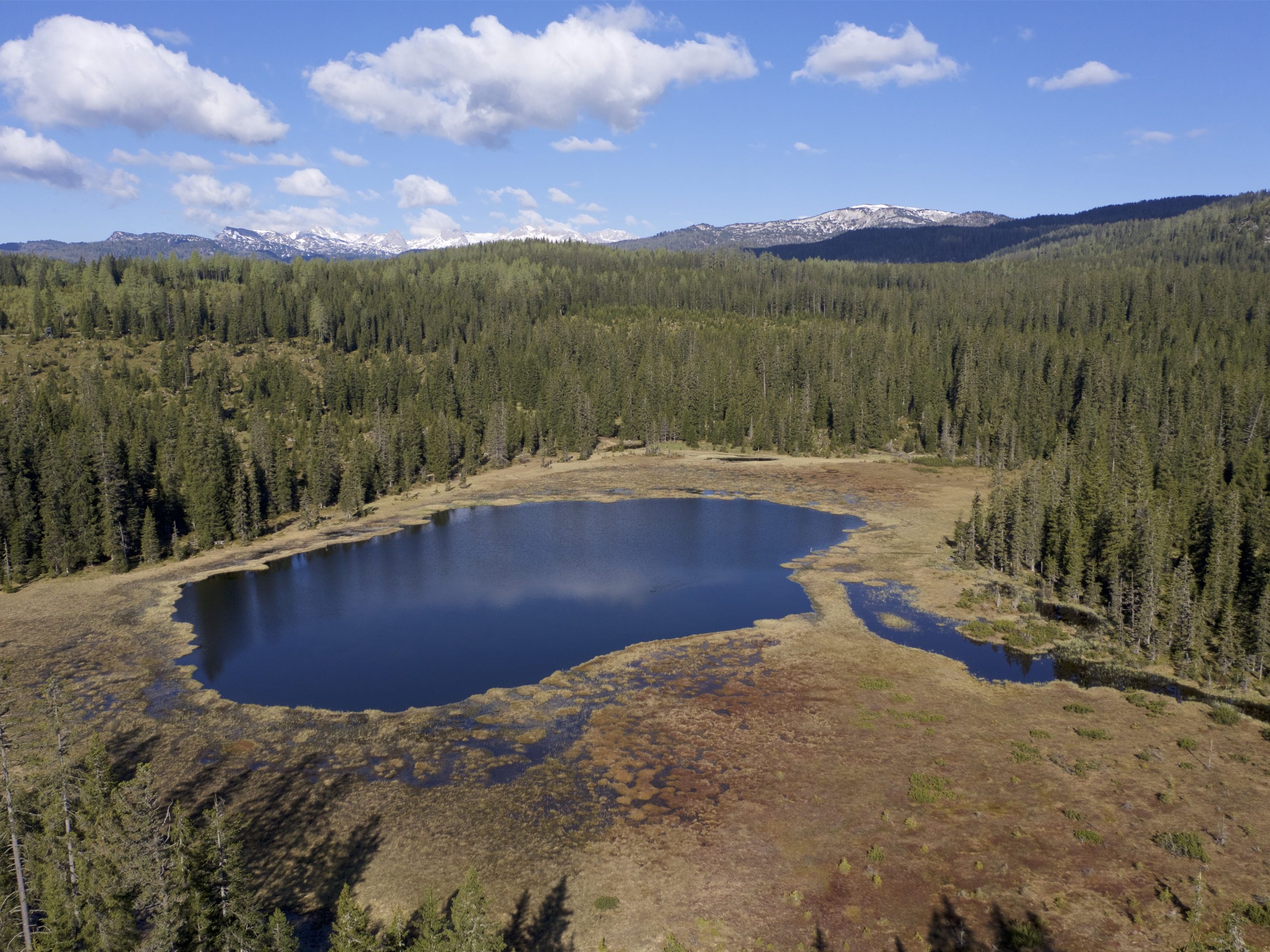 Österreich verfügt ab sofort über eine aktualisierte und digitalisierte Moor-Geodatenbank.