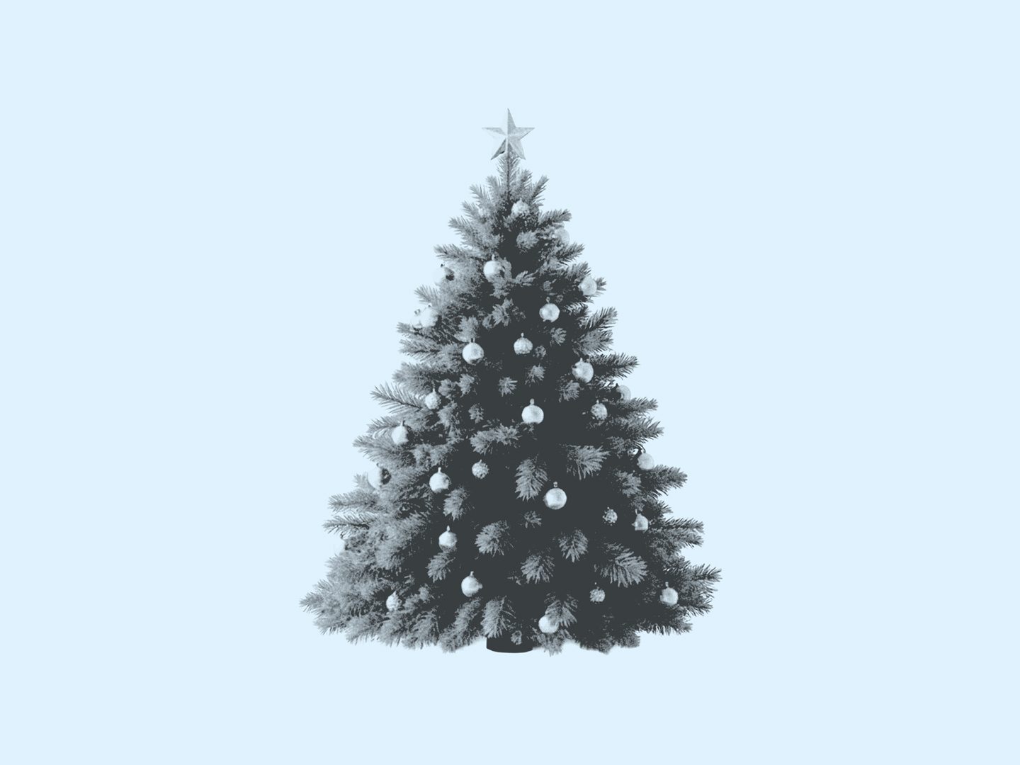 Wie du beim Weihnachtsgeschenkekauf nicht in die Ratenfalle tappst, verrät dir die AK Vorarlberg. (Foto: AK)