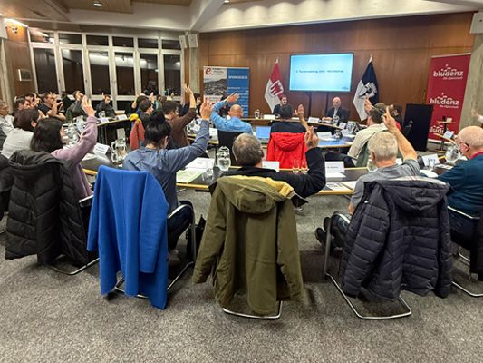 Stadtvertretungssitzun